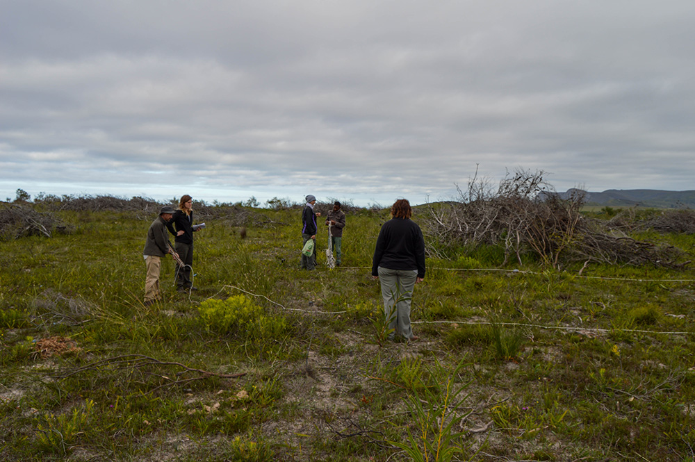 PLOT SURVEYS