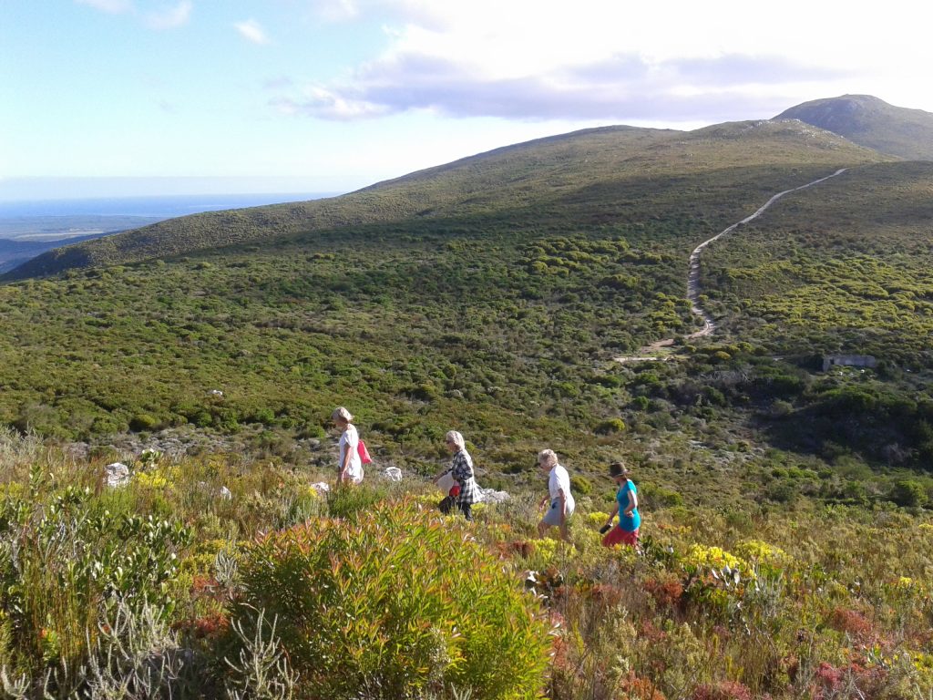 Wlaker Bay Hiking Trails